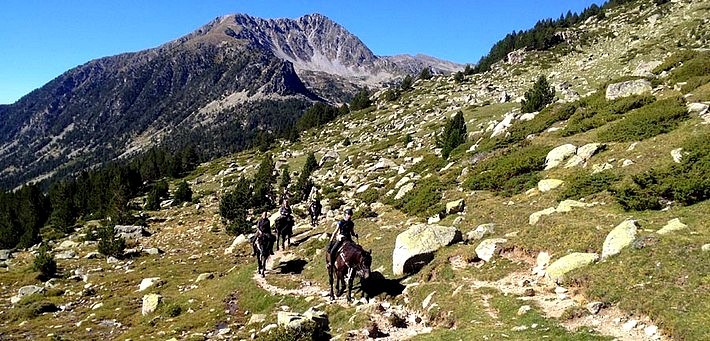 Transhumance des chevaux Mérens dans les Pyrénées