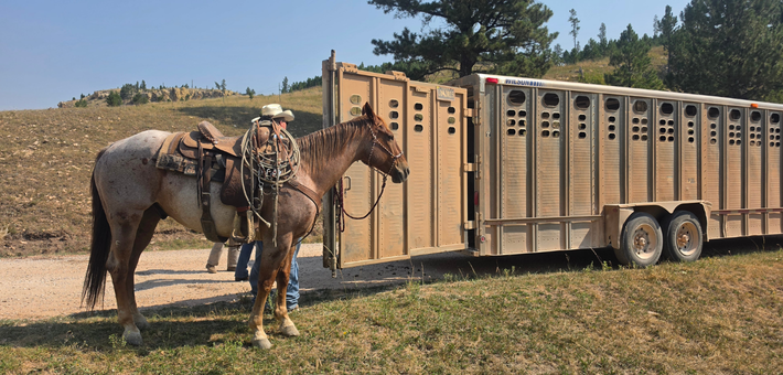 Séjour en Ranch aux USA dans la peau d’un Cowboy - Caval&go