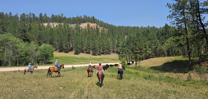 Séjour estival en ranch dans le Wyoming : balades à cheval, activités typiques et découverte grands espaces américains - Caval&go