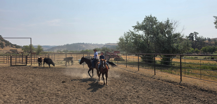 Séjour estival en ranch dans le Wyoming : balades à cheval, activités typiques et découverte grands espaces américains - Caval&go