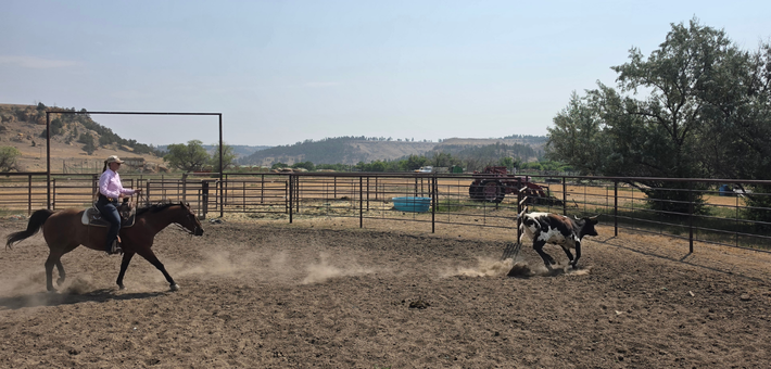 Séjour en Ranch aux USA dans la peau d’un Cowboy - Caval&go