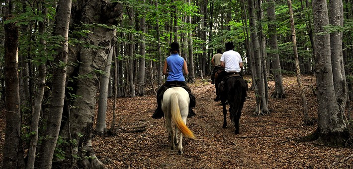 Caval&go - Randonnée équestre à travers les villages des Balkans