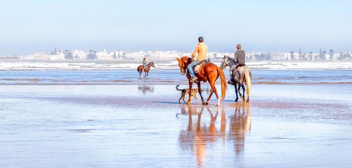 Au cœur du cheval barbe et arabe barbe : Voyage exclusif au Maroc - randonnée et visites inédites