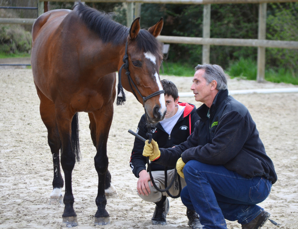 Stage d'Equitation Ethologique avec Thierry Lhermitte en ranch près de Fontainebleau