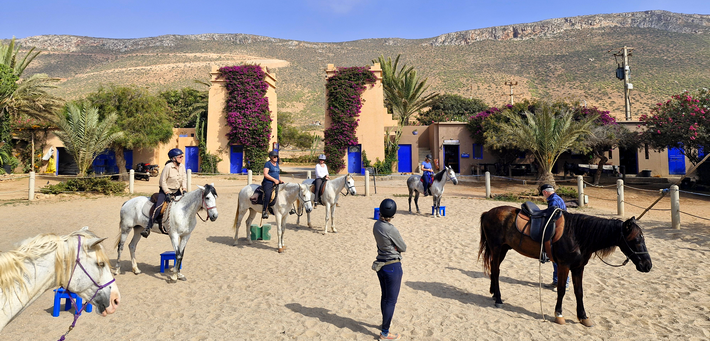 Stage éthologie, randonnée équestre Thierry Lhermitte Maroc - Caval&go