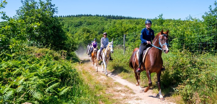 Week end équestre, week end à cheval : balade et randonnée, stage