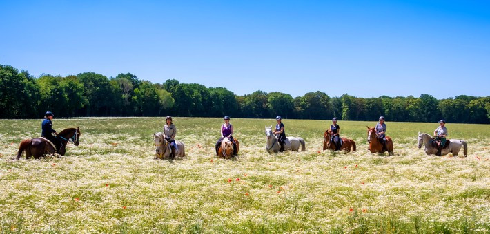 Bon cadeau balade à cheval en forêt de Chantilly - A Cheval En