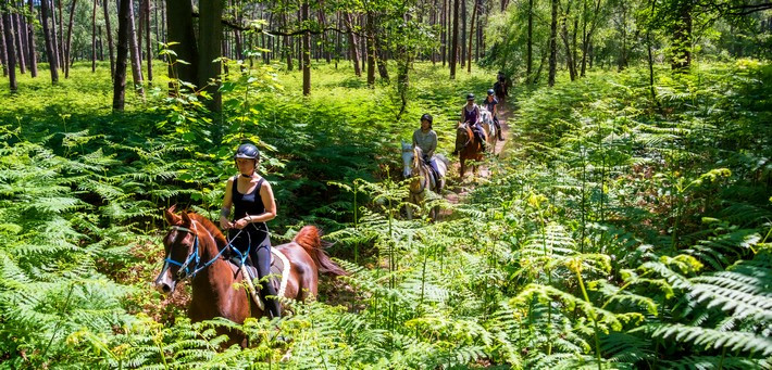 Week-end de charme et endurance équestre en forêt de Chantilly - Caval&go