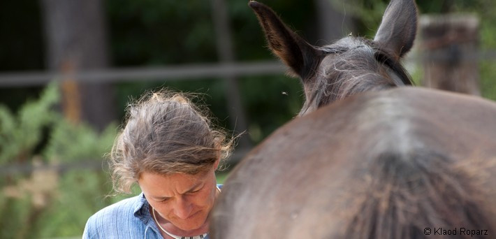 Week-end communication et relation avec le cheval - Caval&go