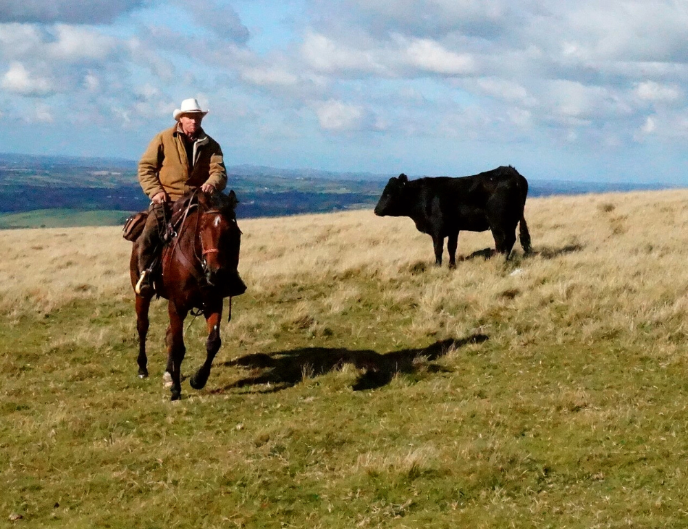 Dans la peau d'un cowboy en Angleterre