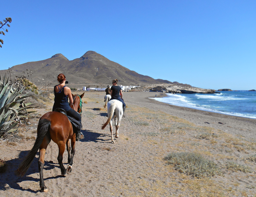 Initiation à l’équitation et balade à cheval en Andalousie