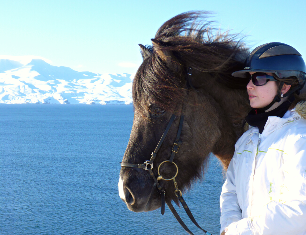 Randonnée à cheval en Islande l'hiver