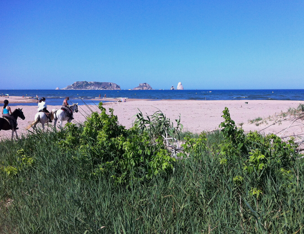 Randonnée à cheval entre mer et prairies en Catalogne