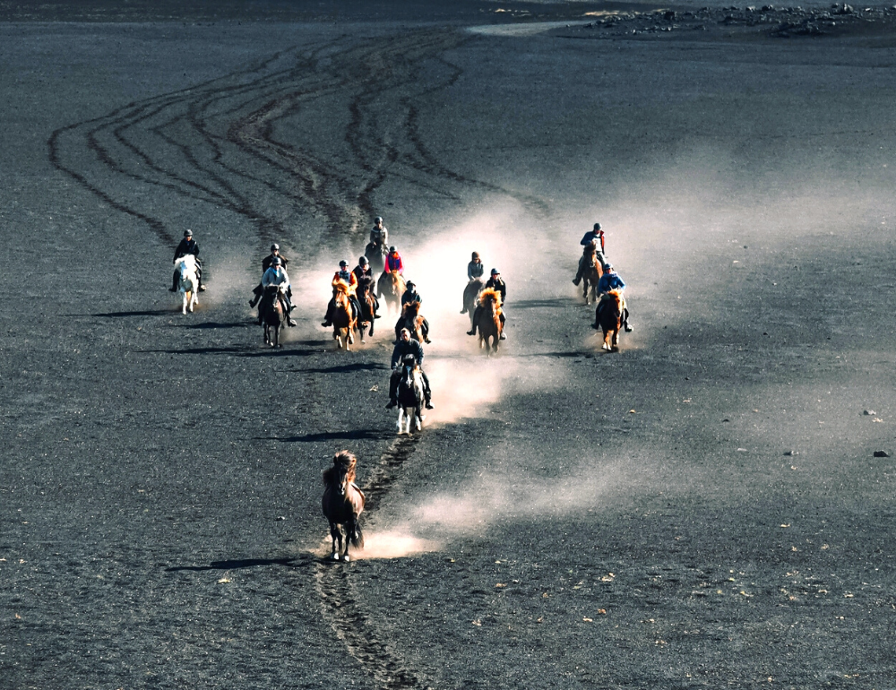 Randonnée à cheval en Islande - Les hautes terres du Landmannalaugar