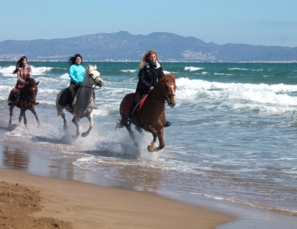 Randonnée équestre des Pyrénées à la Méditerranée - Catalogne