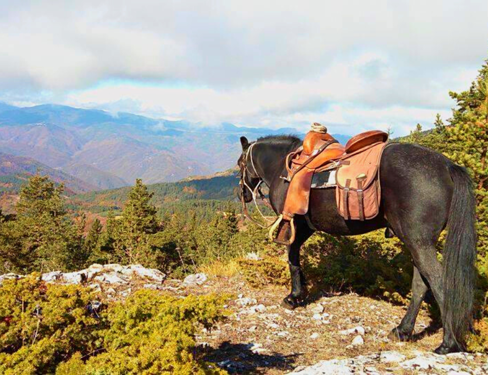 Randonnée à cheval dans les montagnes de Bulgarie