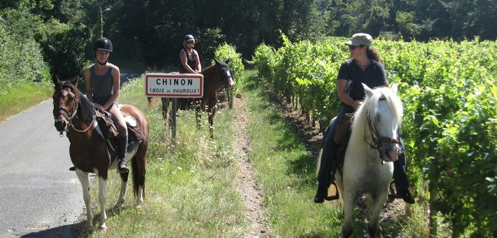 Randonnée équestre sur Chinon, entre vignobles et châteaux - Caval&go