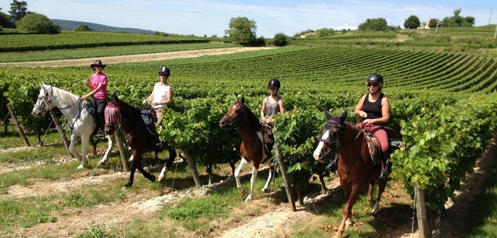 Randonnée équestre sur Chinon, entre vignobles et châteaux - Caval&go