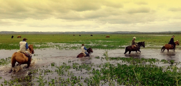 Randonnée à cheval avec les gauchos dans la pampa uruguayenne - Caval&go