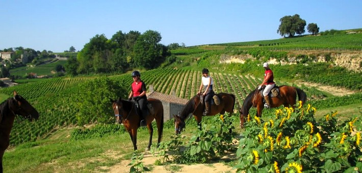 Week-end à cheval entre plages et vignobles du Médoc - Caval&go