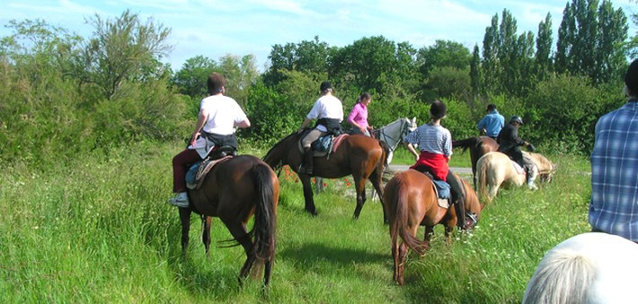 Week-end initiation à la randonnée à cheval - Médoc - Caval&go