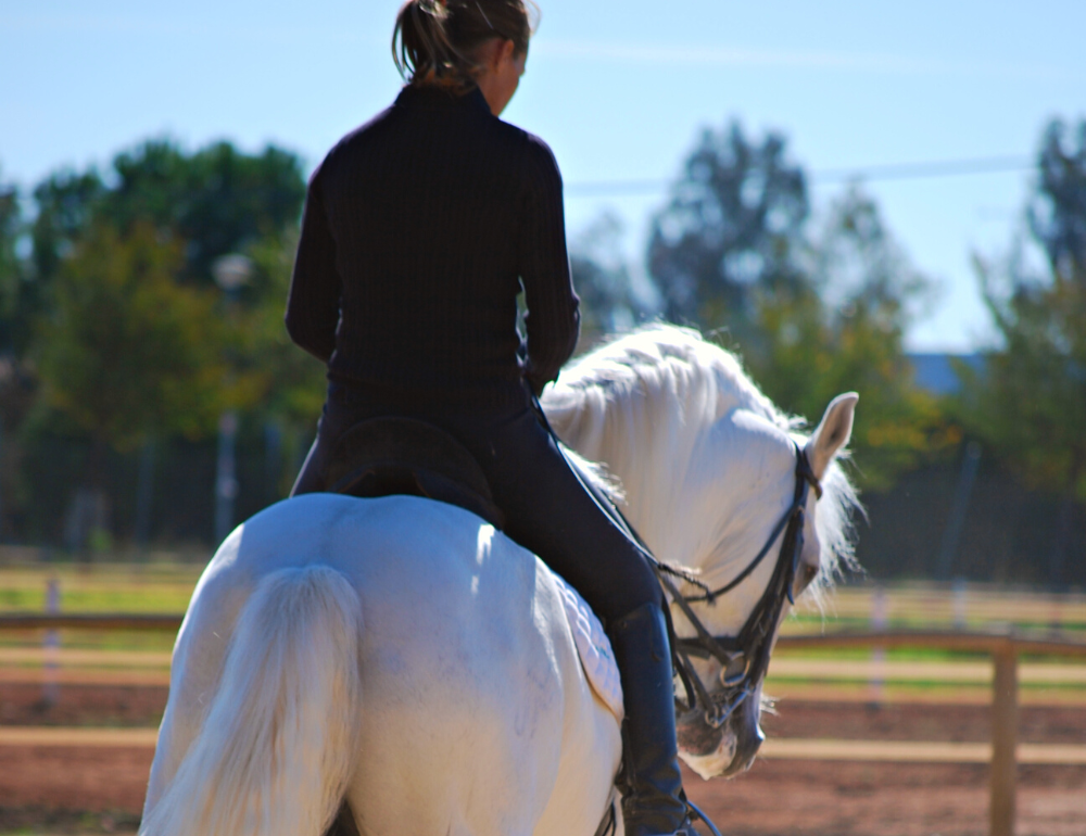 Stage de dressage et équitation Haute Ecole avec Rafaël Soto à Séville