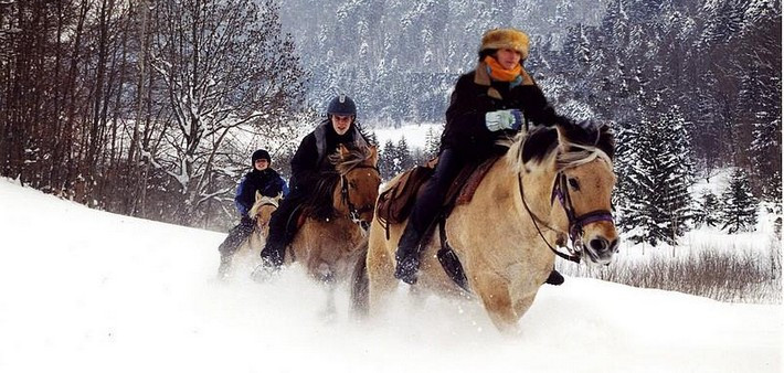 Week-end à cheval dans la neige, aux portes du Jura - Caval&go