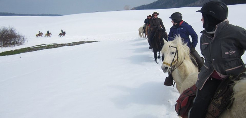 Week-end à cheval dans la neige, aux portes du Jura - Caval&go