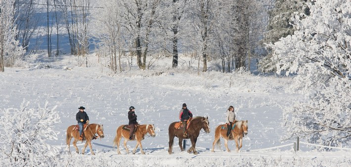 Week-end à cheval dans la neige, aux portes du Jura - Caval&go