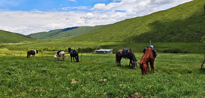 Chevauchée dans le Sichuan, aux portes du Tibet, en Chine - Caval&go