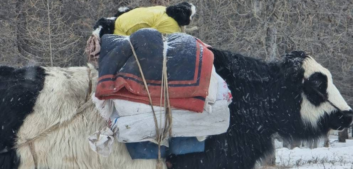Chevauchée hivernale au cœur de la Mongolie nomade