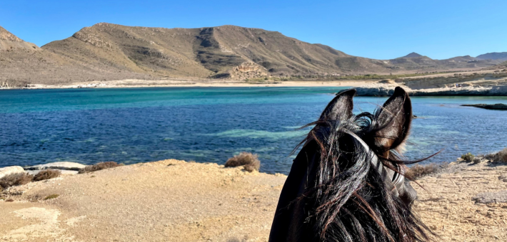 Chevauchée en Andalousie entre mer et désert - Caval&go