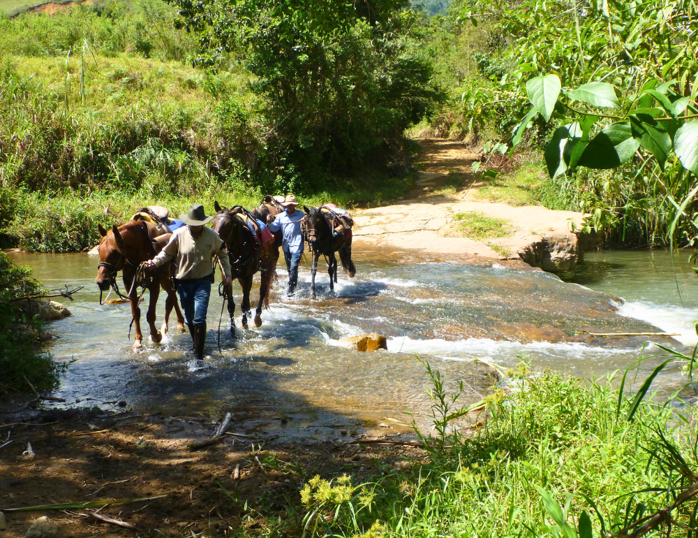 Entre traditions, histoire et nature : randonn&eacute;e &eacute;questre dans la r&eacute;gion de Santander en Colombie