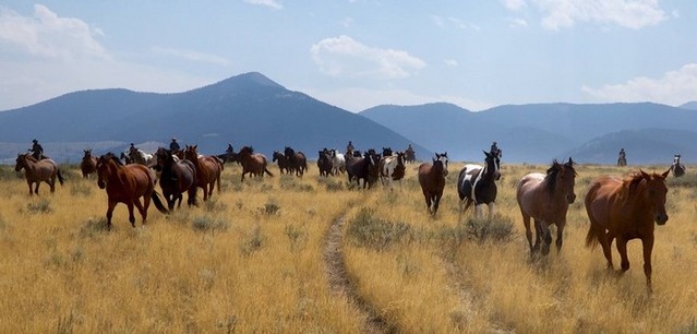 Voyage à cheval aux USA : Convoyage de chevaux dans l’Idaho