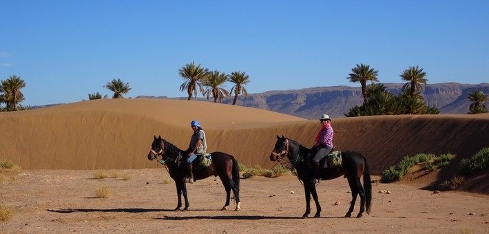 Randonnée équestre dans le désert du Maroc