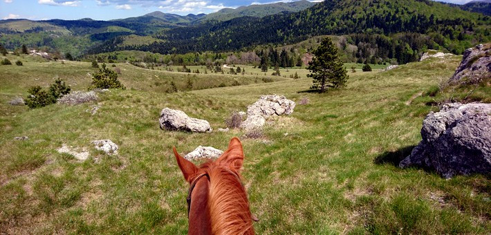 Escapade équestre à la découverte des châteaux de Slovénie - Caval&go