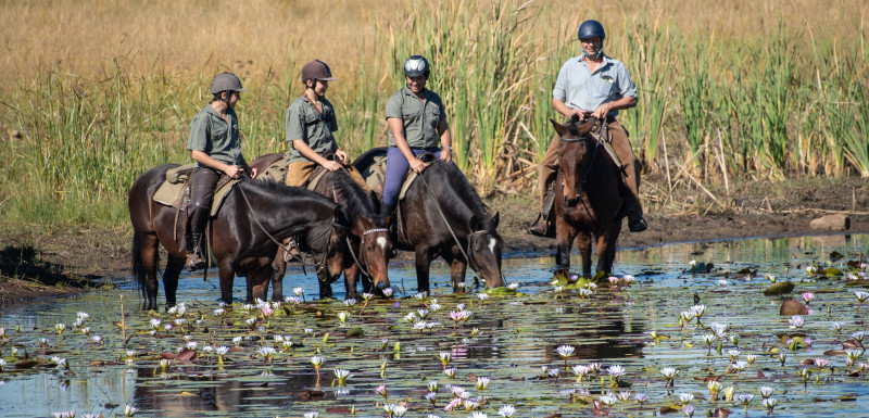 Safari à cheval de l