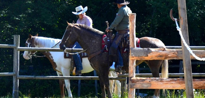 Week-end équitation western et de travail en ranch pour tous les niveaux - Caval&go