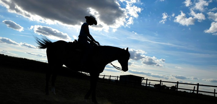 Week-end équitation western et de travail en ranch pour tous les niveaux - Caval&go