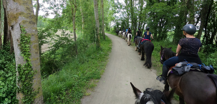 Randonnée à cheval au Mont-Saint-Michel - Adultes - Caval&go