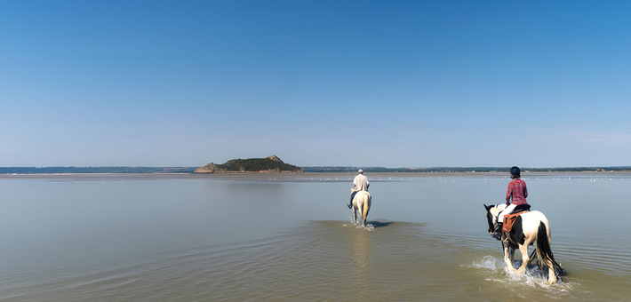 Randonnée à cheval au Mont-Saint-Michel - Adultes - Caval&go