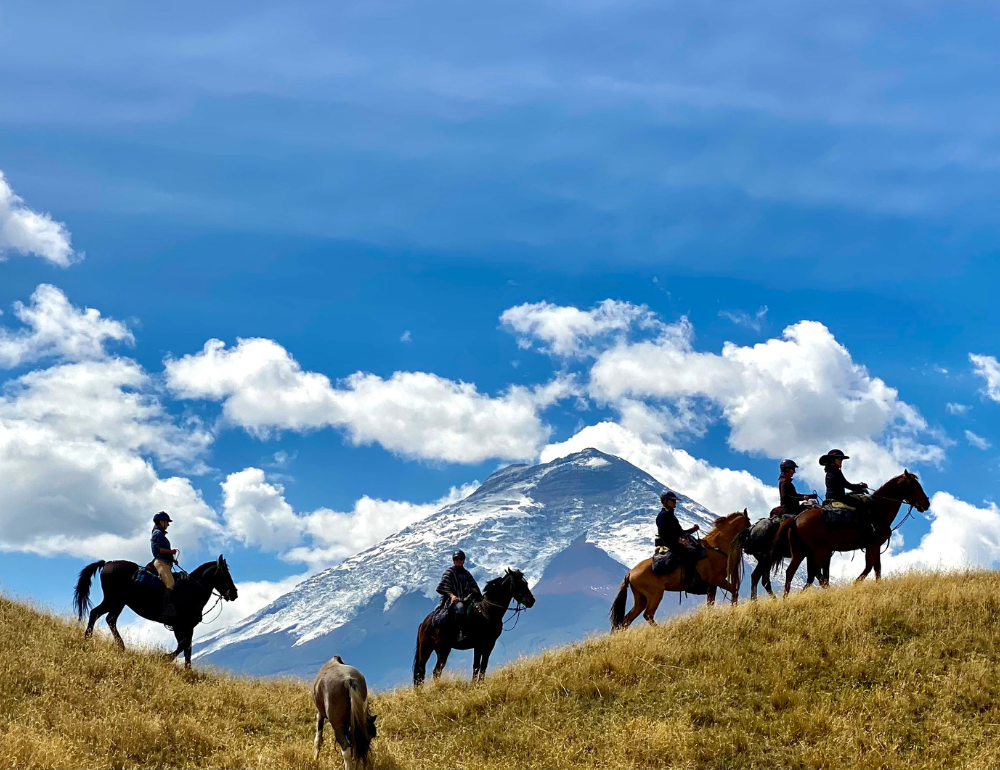 Randonnée équestre au cœur du volcan Cotopaxi