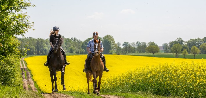 Séjour équestre de charme et randonnée en Pologne - Caval&go
