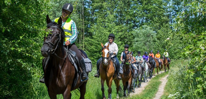 Séjour équestre de charme et randonnée en Pologne - Caval&go