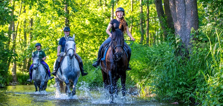 Séjour équestre de charme et randonnée en Pologne - Caval&go