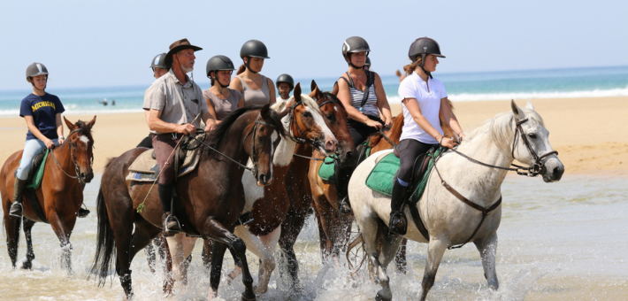 Stage de perfectionnement équestre sur les plages des Landes - Caval&go