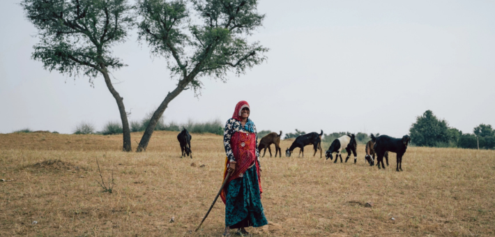 Randonnée à cheval dans le désert du Shekhawati en Inde - Caval&go