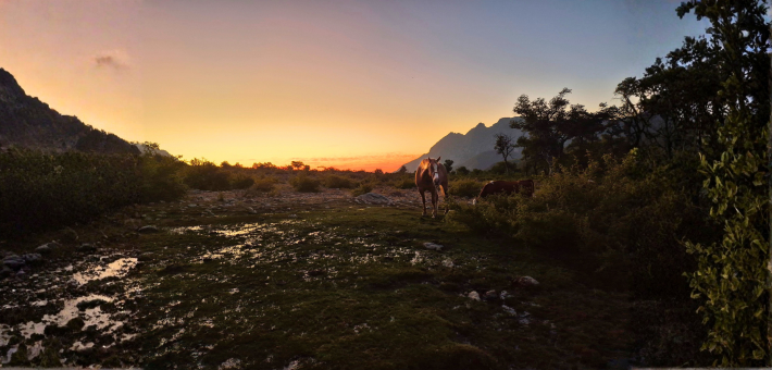 Chevauchée des lacs Andins, au cœur du Chili - Caval&go