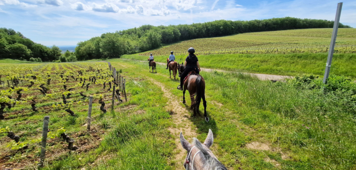 Randonnée Liberté dans le Morvan - Caval&go 