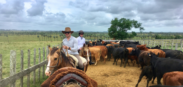 Randonnée équestre en Uruguay immersion chez les gauchos version longue - Caval&go